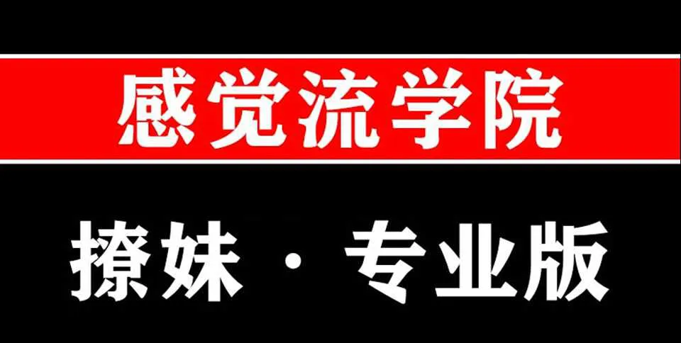 图片[1]-感觉流撩妹 感觉流学院恋爱音频直播培训课专业版-元气ACG-绅士游戏下载基地！