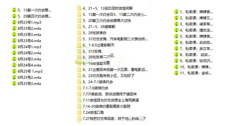 图片[2]-痴情叔面授课：（2020更新完整版）撩妹恋爱学音频课程+详细聊天记录-元气ACG-绅士游戏下载基地！