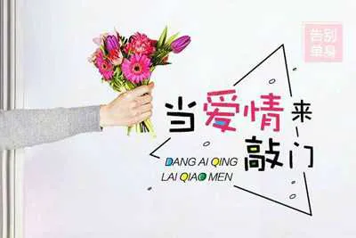 别在该恋爱的年纪 孤身一人：告别单身收获幸福爱情 用心理学找到对的人 脱单秘籍视频教程-元气ACG-绅士游戏下载基地！