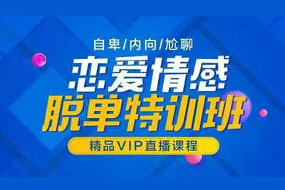 恋爱情感脱单特训班精品VIP 素云老师VIP恋爱技巧视频教程-元气ACG-绅士游戏下载基地！