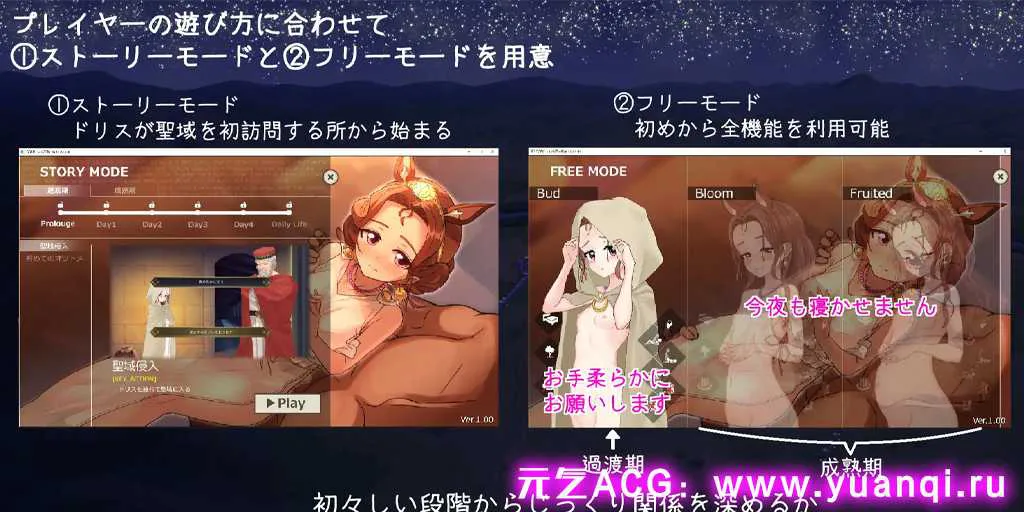 图片[3]-【SLG绅士游戏 PC中文版】ドリス姫と夜のオツトメ ver1.00 母与夜晚的交换 官中中文版-元气ACG-绅士游戏下载基地！