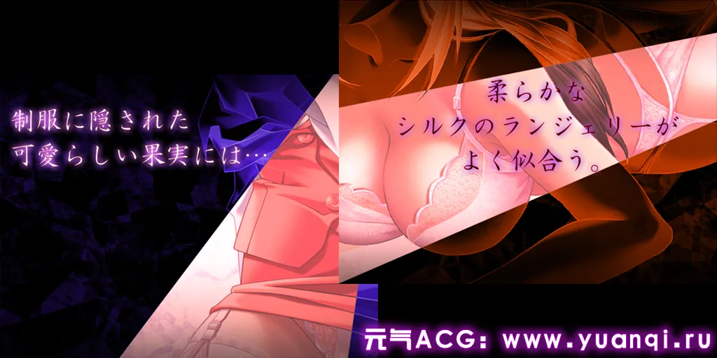 图片[4]-Lingeries 新パッケージ版 PC日语原版-元气ACG-绅士游戏下载基地！