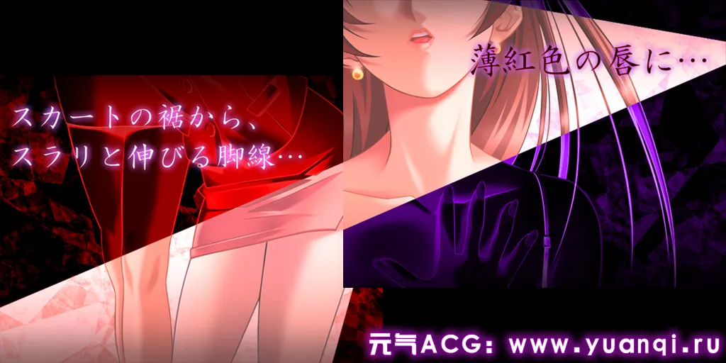 图片[5]-Lingeries 新パッケージ版 PC日语原版-元气ACG-绅士游戏下载基地！