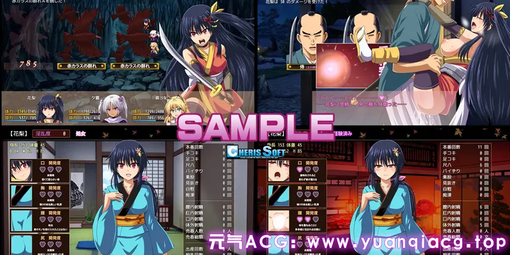 图片[1]-女忍者花梨 Ver1.2精翻汉化版 双端PC+模拟器+全cg存档 くノ一花梨 大型江户幻想RPG：女忍者花梨-元气ACG-绅士游戏下载基地！