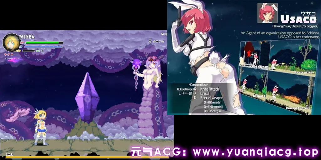 图片[2]-米拉奇战记 DX Ver1.11 PC版 米莉亚战记 DX Echidna Wars DX-元气ACG-绅士游戏下载基地！